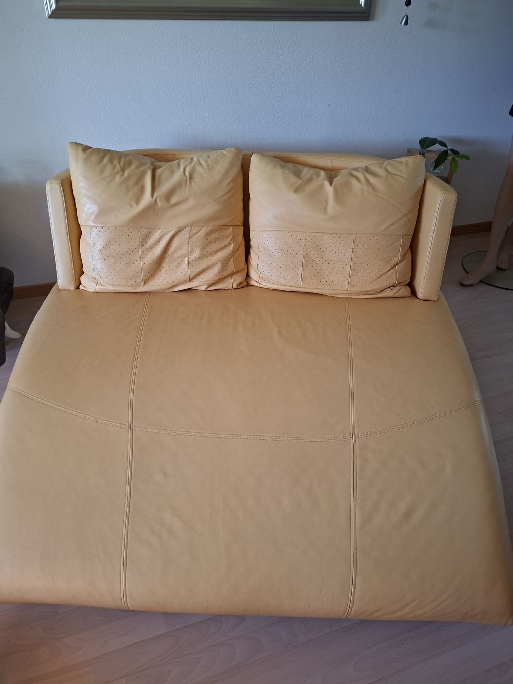 Divani: Rolf Benz Liegesofa gelb – Usato da Elgg venduto da Bijou2010 3