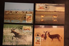 Sambia 1987 - Maximumkarten - Der Schwarze Litschi (WWF)