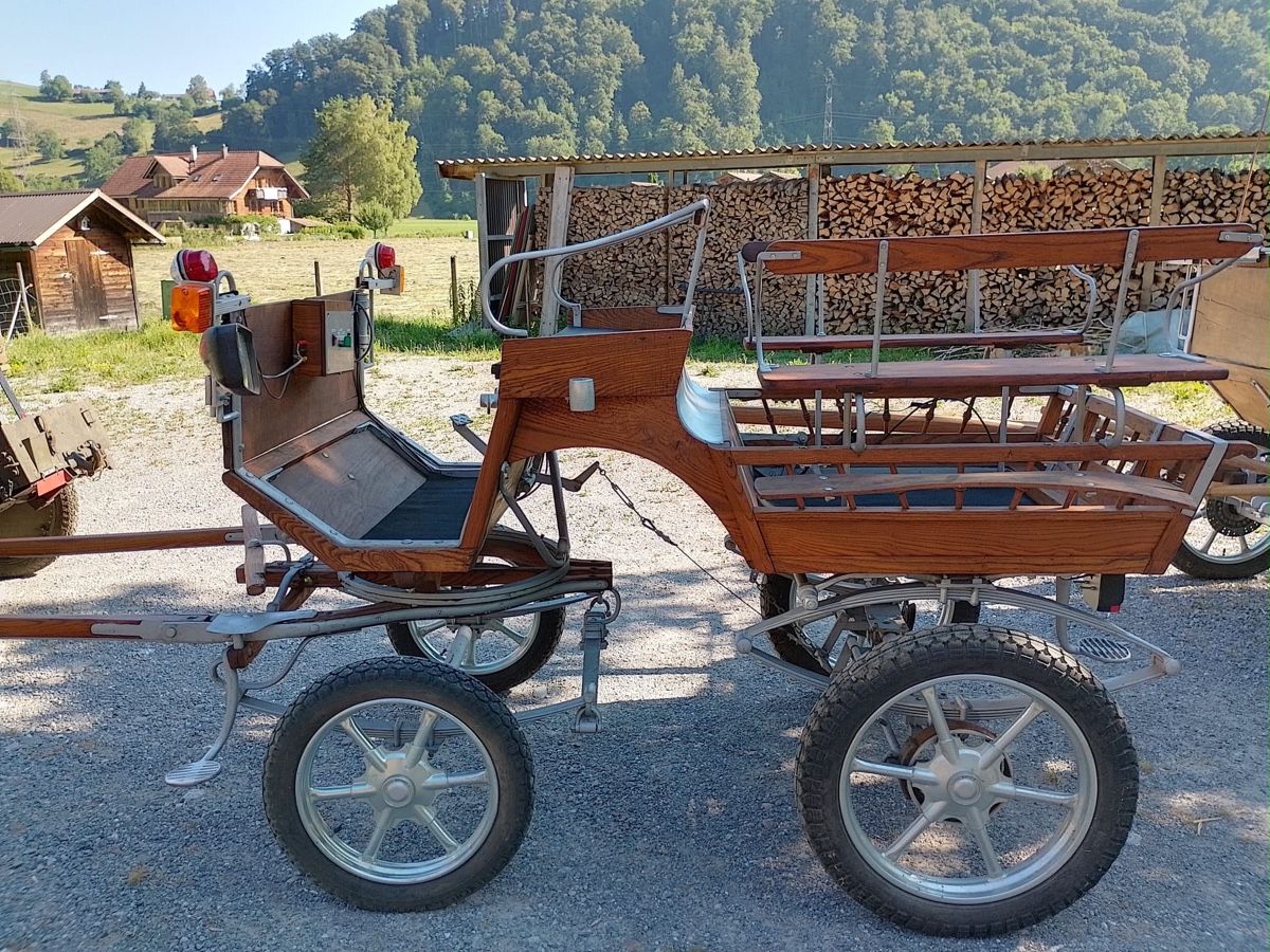 Carrozze: Berner Wägeli, Pferdekutsche – Usato da Burgdorf venduto da RosiVera 1