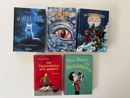 Grosses Paket Kinderbücher / Jugendbücher 22 Stück