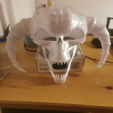 Profile image of Slyrer