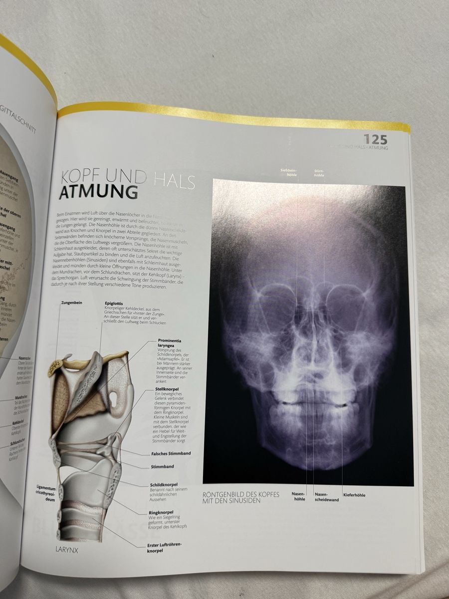 Bücher: Anatomie und Physiologie DK Buch – Gebraucht aus Grosswangen von cungibungi 2