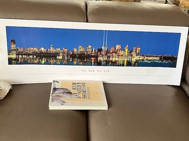 Foto & Immagini: 2 Posters panoramiques de NEW YORK – Usato da PULLY venduto da RAPHAEL1953 2