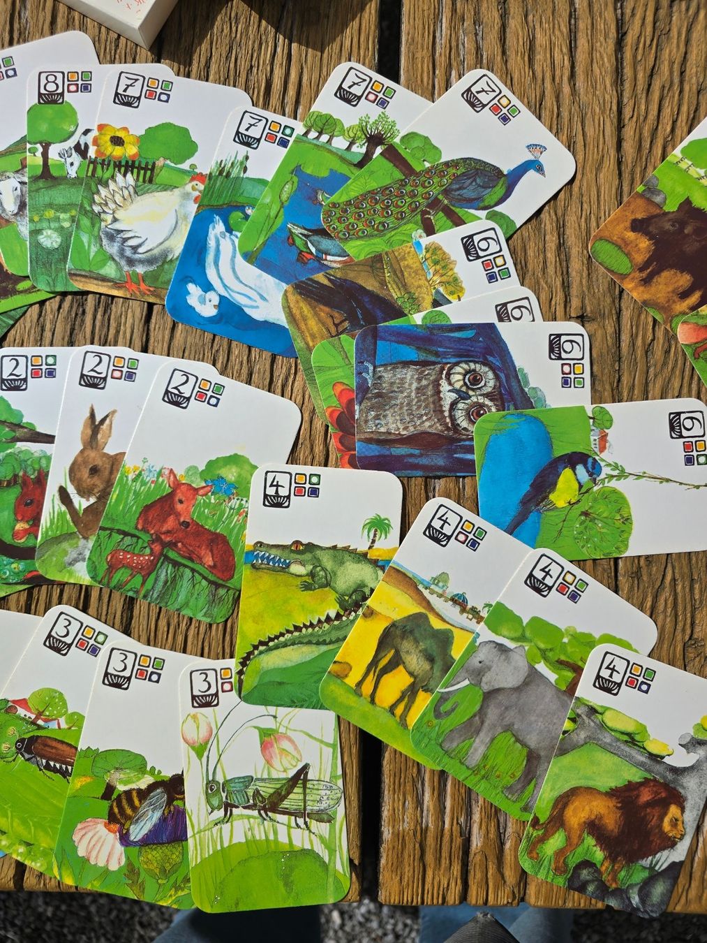 Giochi: Quartett: Kartenspiel Tiere – Usato da Romanshorn venduto da Rachacha 6