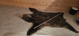bear skin rug