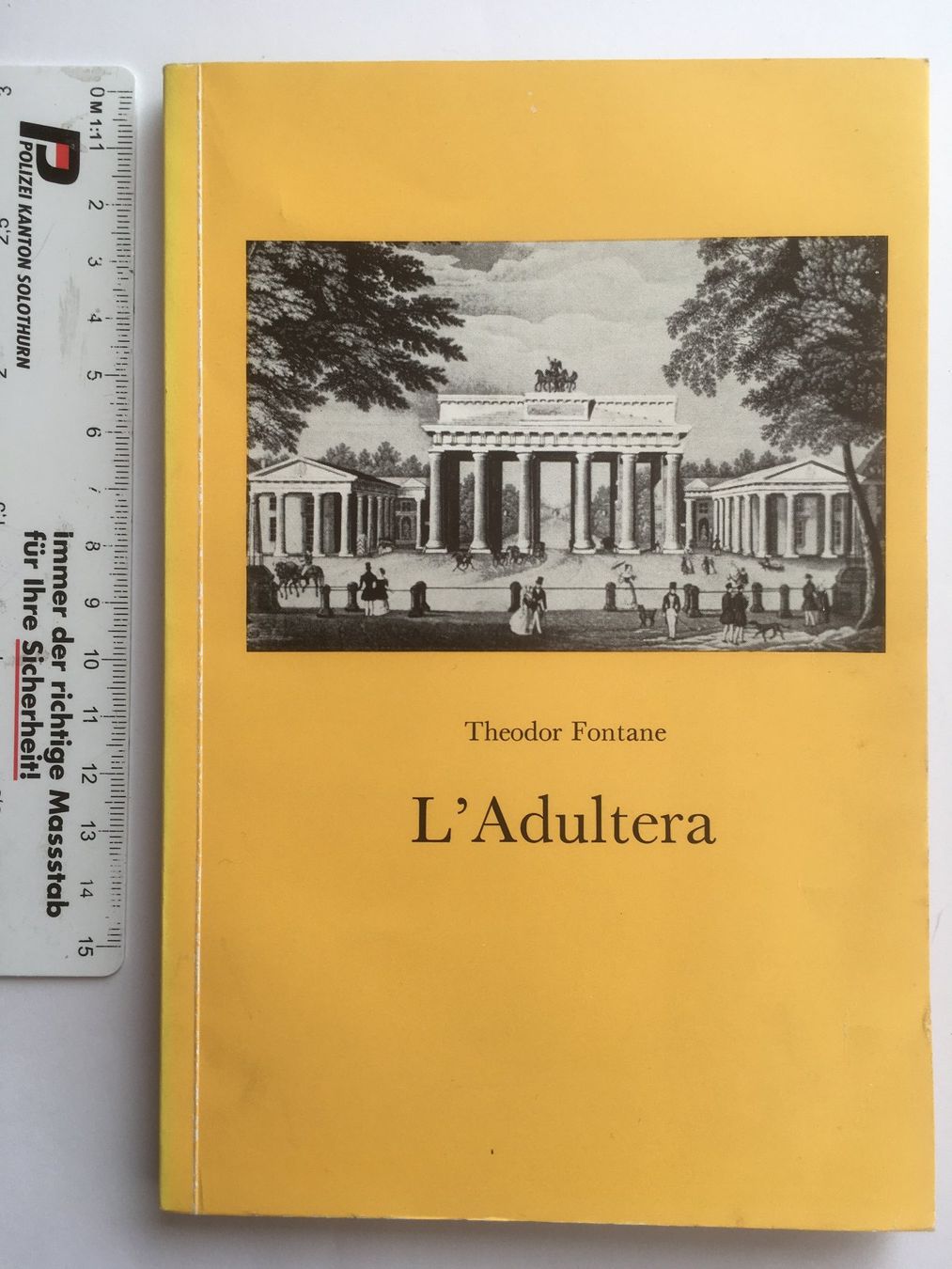 Libri: L'adultera; Theodor Fontaine – Usato da Grenchen venduto da Kogi7