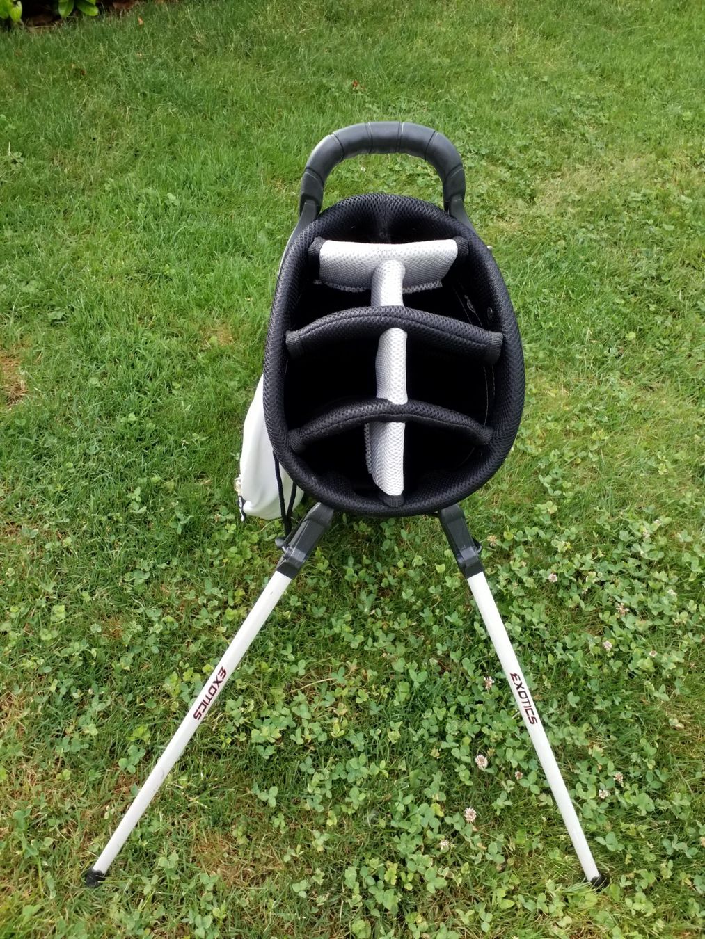 Borse: Golf Bag – Usato da Erlenbach ZH venduto da user57 1