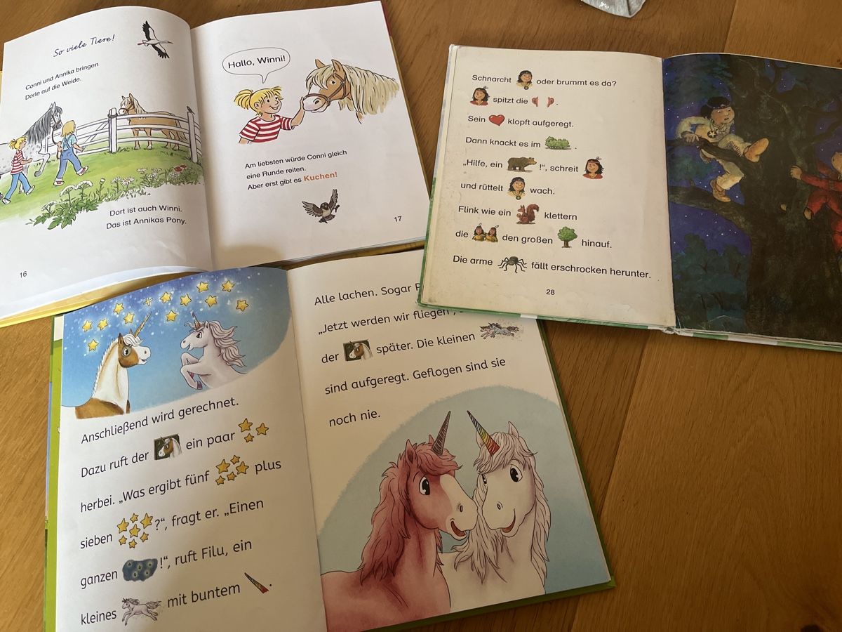 Libri: Erstlesebücher – Usato da Balmberg venduto da Berglihof 1