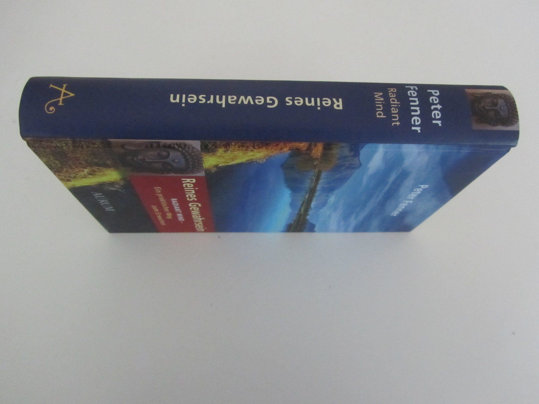 Libri: Reines Gewahrsein. Radiant Mind. Peter Fenner – Nuovo (secondo la descrizione) da Locarno venduto da edn.vintage 5