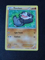 Pancham 71/122 Pokémon XY Breakpoint 2016 (EN) ab 1.-