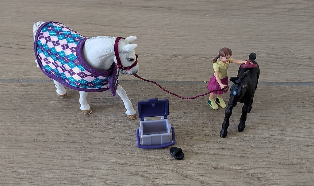 Spielzeuge: Schleich soins des cheveaux 72130 – Gebraucht aus St. Ursen von b_anael