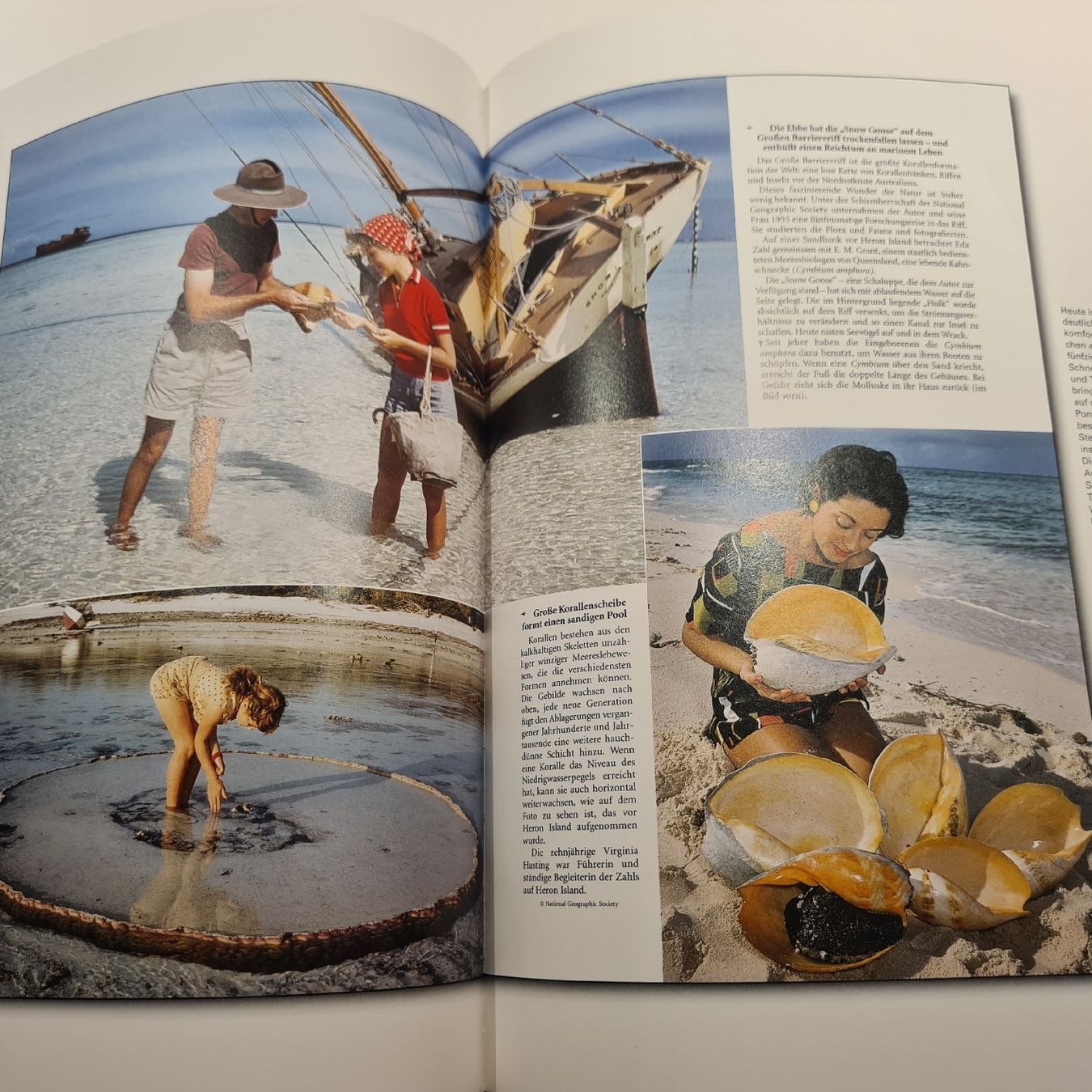 Libri: National Geographic Bibliothek – Usato da Steinen venduto da turbogeiss99 5