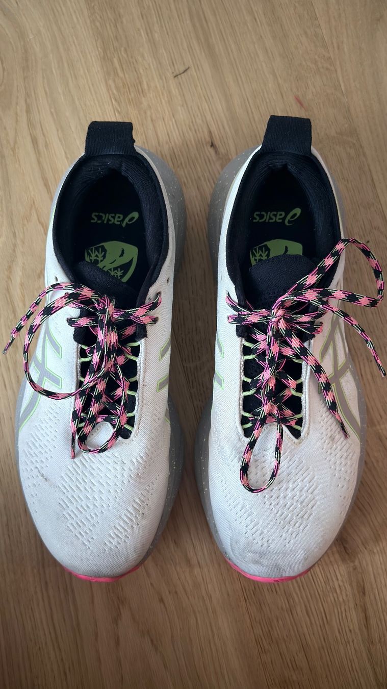 Asics Chaussures hommes: ASICS Gel Nimbus 25 TR – D'occasion à Zürich par simona.ke