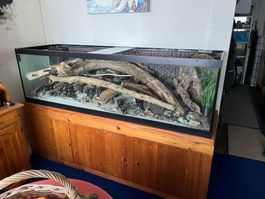 Aquarium
