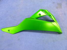 Kawasaki Z300 / 2016 Bugspoiler rechts