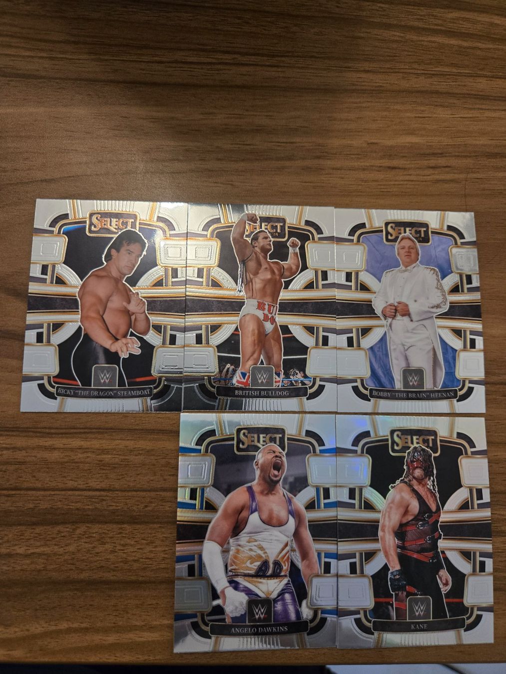 Carte collezionabili: 5 Carte Panini WWE Select 2024 Silver – Usato da Pregassona venduto da med_fk22