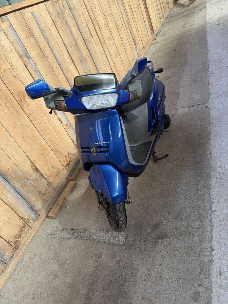 Peugeot Scooter: Roller Peugeot SV 125 C Executive blau – Usato da Kreuzlingen venduto da Roller-Werkstatt