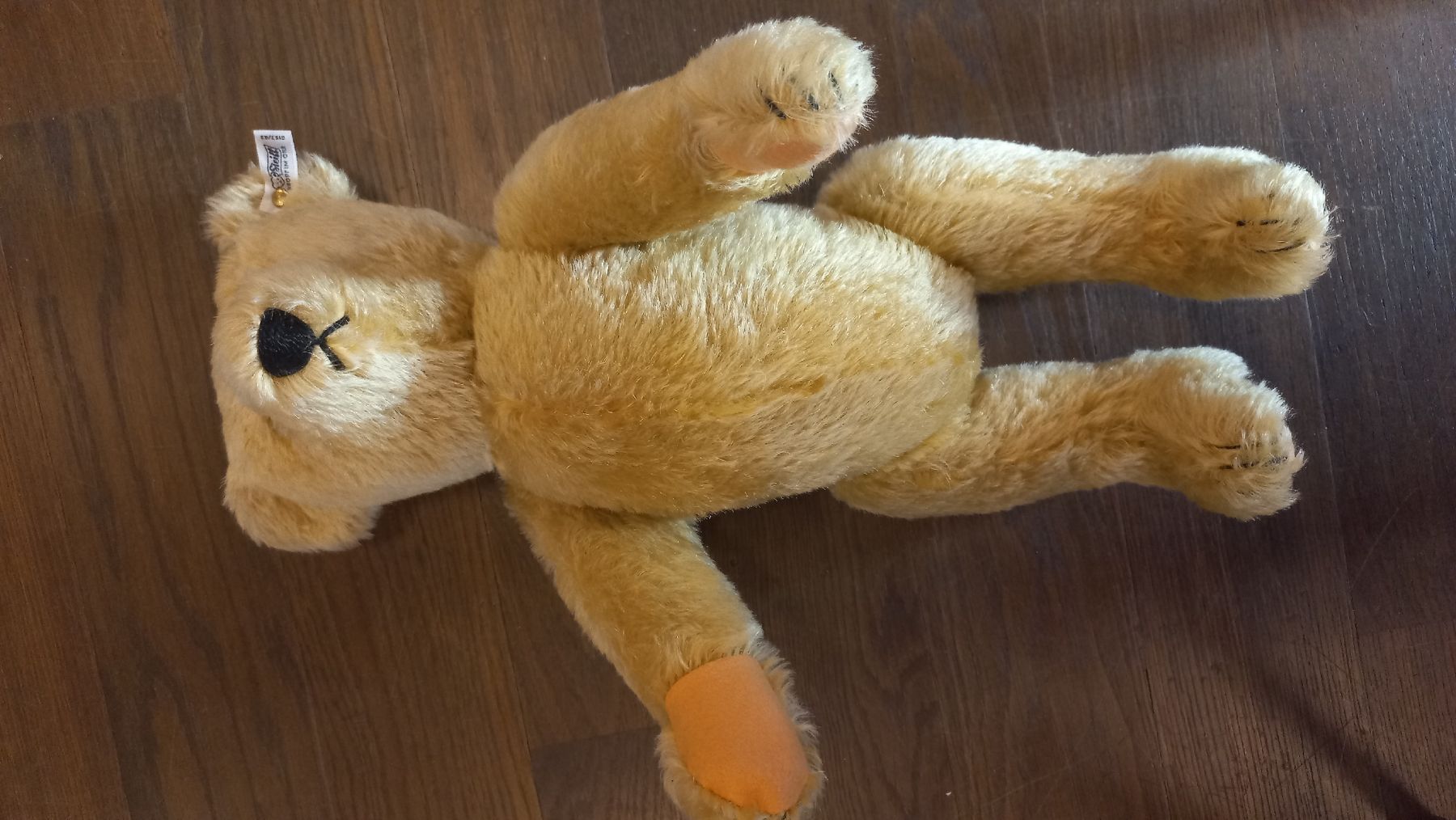 Steiff Spielzeuge: Teddybär Steiff 45cm – Neu (gemäss Beschreibung) aus Menziken von ursimat 1