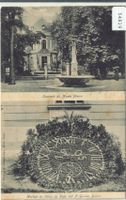 Souvenir du Musee Bienne - Horloge en fleurs du Parc par F.G