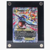 M Sharpedo EX (XYPR 200) - Pokémon TCG - XY - 🇬🇧