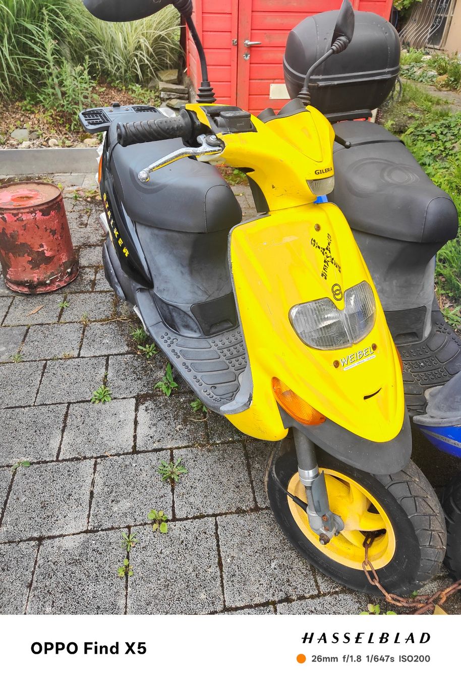 Gilera Scooter: Gilera Stalker, 49ccm, gelb – Difettoso da Pieterlen venduto da Wilhelm 1