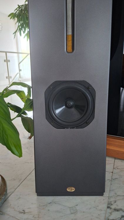 Paar HighEnd Lautsprecher Relco Mantis mit Bändchenhochtöner (Gebraucht ...