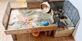 Hamsterkäfig mit zusätzlichem Auslaufgehege