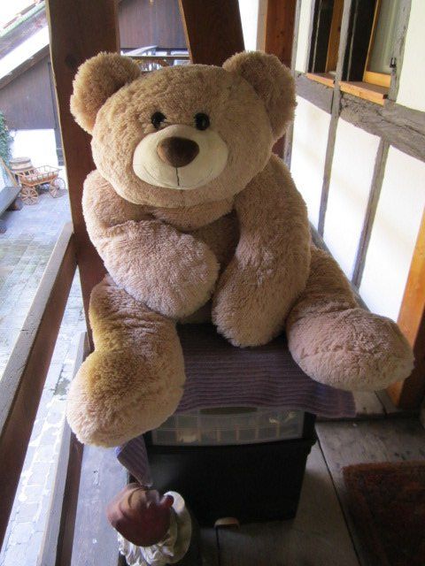 Spielzeuge: Sehr weicher großer Teddy – Gebraucht aus Eglisau von ordne 2