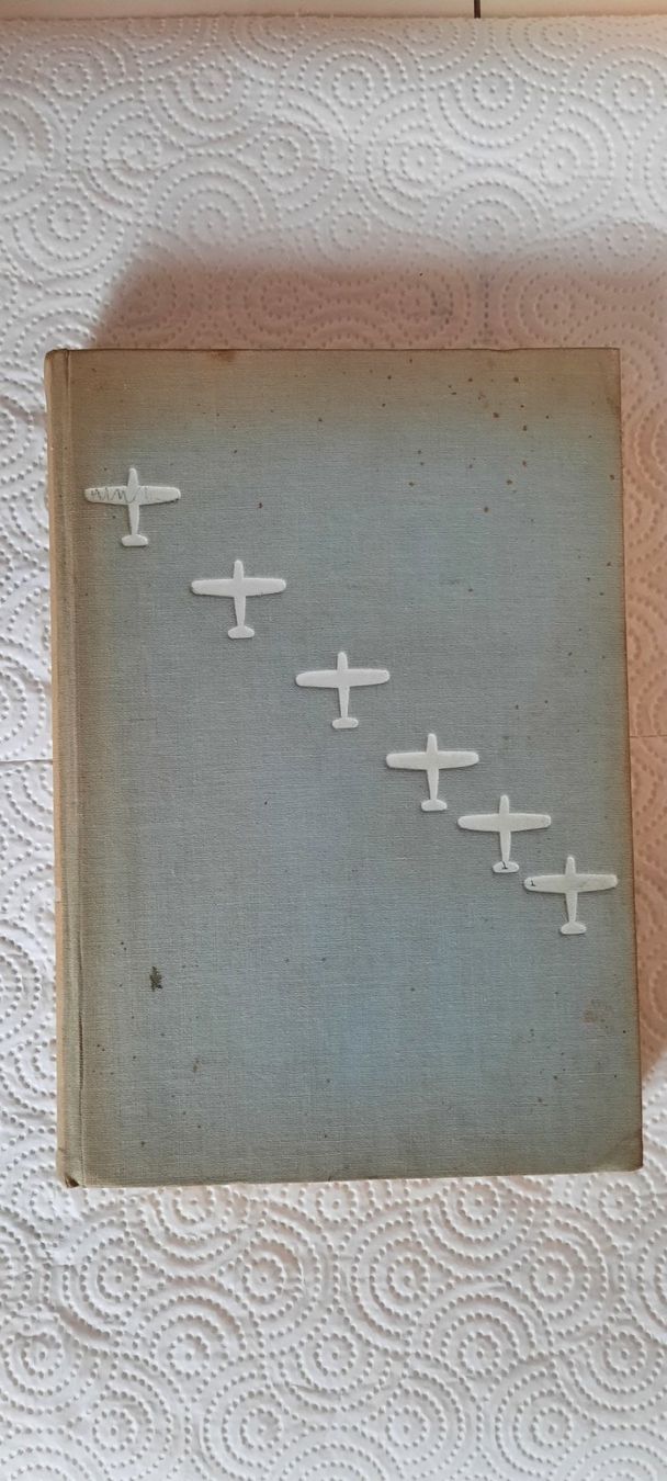 Libri: Das Fliegerbuch – Usato da Amriswil venduto da fel_pyg2