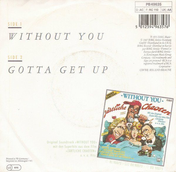 Dischi in vinile: Nilsson: Without You 7" – Usato da Steinhausen venduto da Vilivinili 1