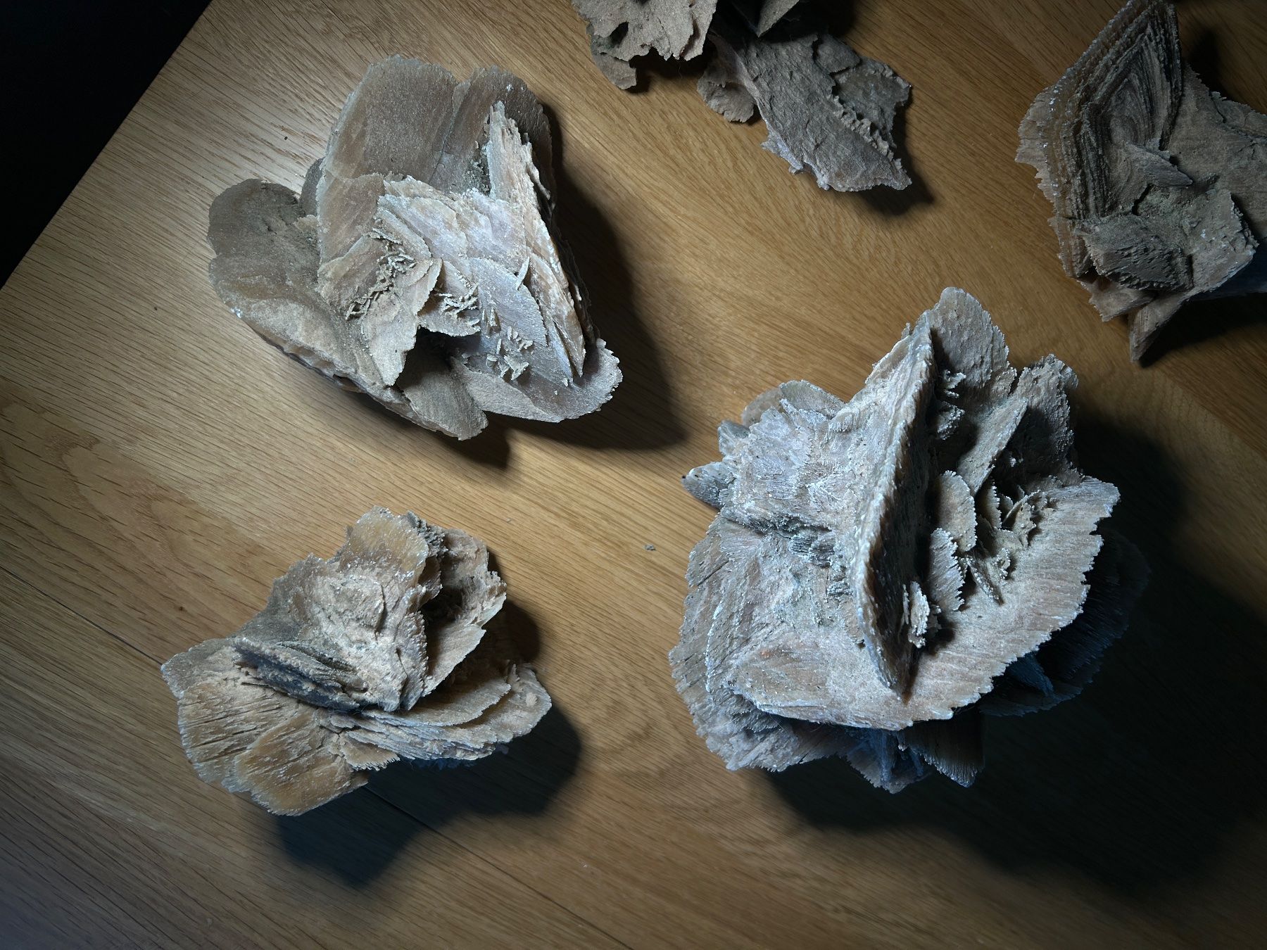 Tutte le decorazioni: Wunderschöne Seerosen Sammlung - 7 Stück - Dekoration – Usato da Uster venduto da tanaweide 2