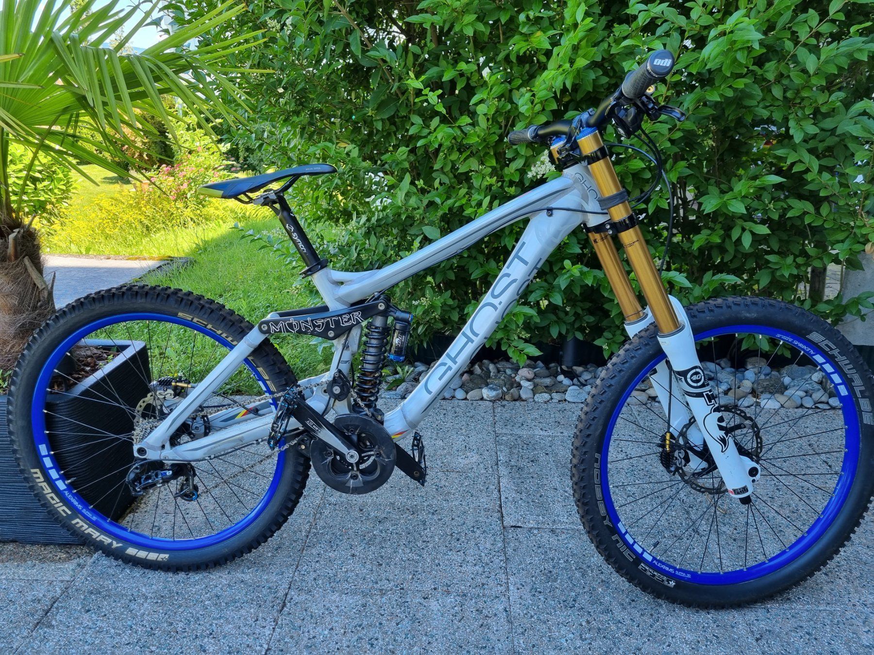 Ghost Biciclette: Downhill Bike Ghost – Usato da Bülach venduto da cf96