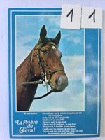 Ansichtskarte La Priere du Cheval 1978