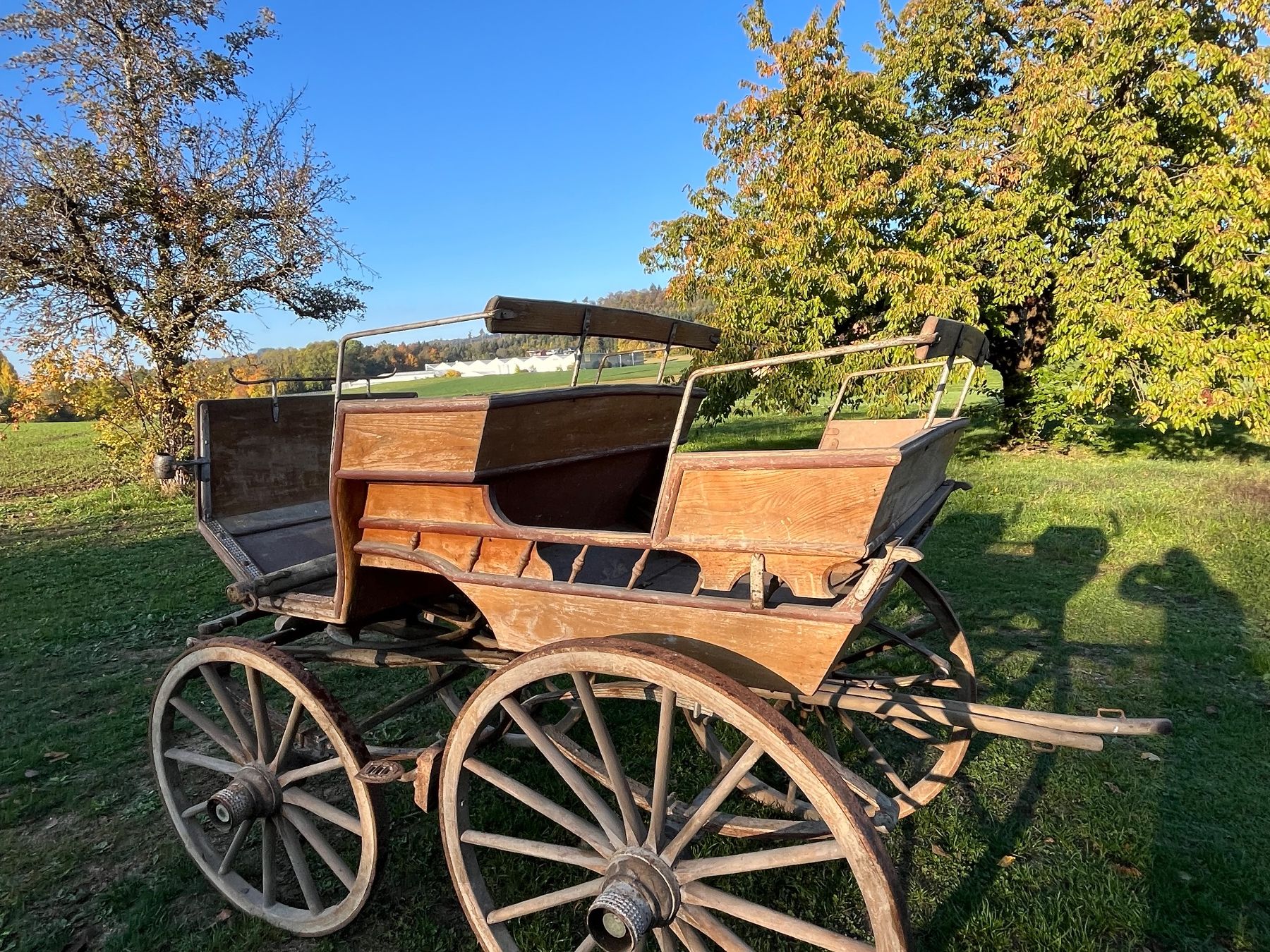 Calèches: Pferdekutsche / Break – D'occasion à Allmendingen b. BE par juair 2