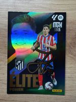 Soccer Julian Alvarez PRINT AUTO Elite MGK 24/25