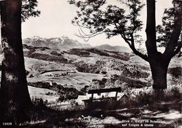 Blick vom Gupf ob Rehetobel auf Trogen und Säntis um 1945