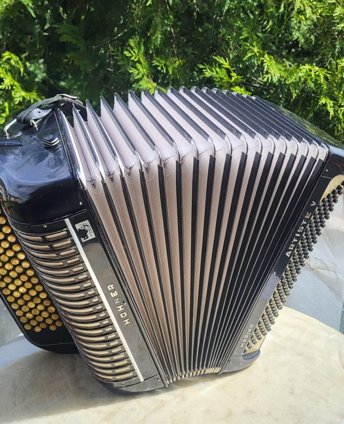 Hohner Strumenti musicali: Accordéon hohner Artistic V – Usato da Penthalaz venduto da EvandroLuz 2