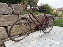 Gut erhaltenes Philips Fahrrad zu verkaufen