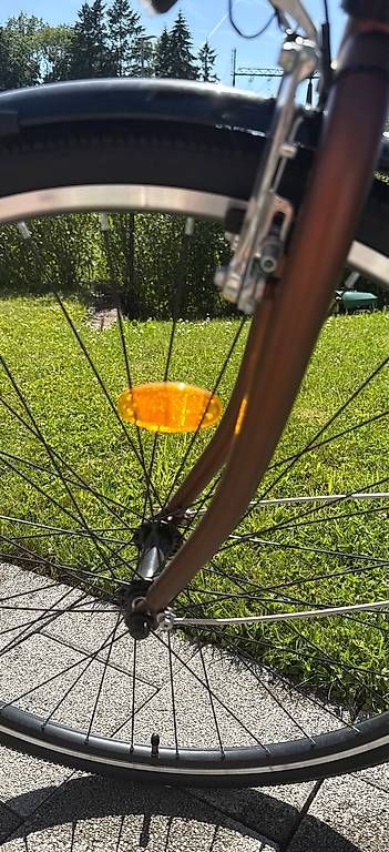 Biciclette: Damenvelo "Bronze" NEU  – Usato da Mühleberg venduto da baerbeli78 4