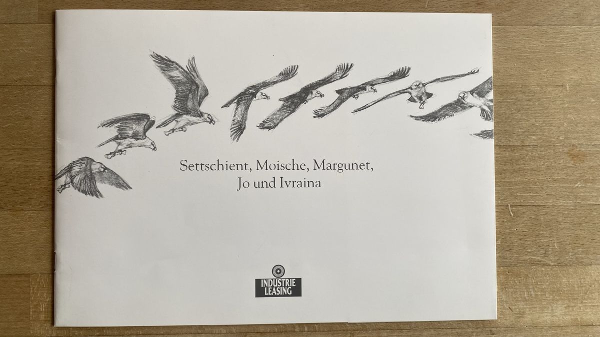 Libri: Bartgeier Bild und Dokumentation – Nuovo (secondo la descrizione) da Stetten SH venduto da Christian_Stetten 1