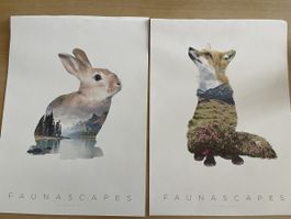 2 Kunstdrucke Faunascapes Hase und  Fuchs gebraucht