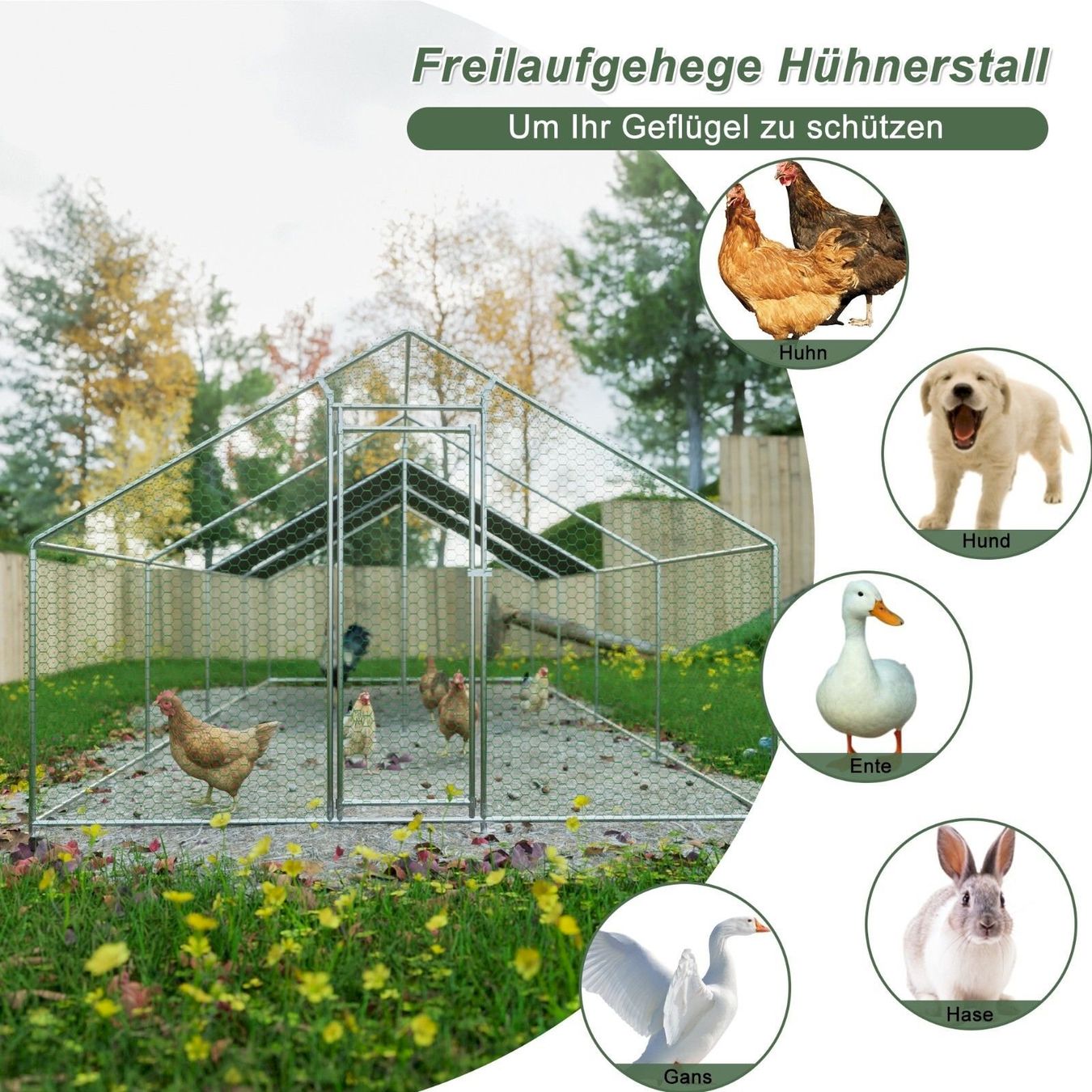 Cages, transport & sécurité: Hühnerstall 3x8x2m mit Dach – Neuf avec emballage d'origine à Bottighofen par zaap 6