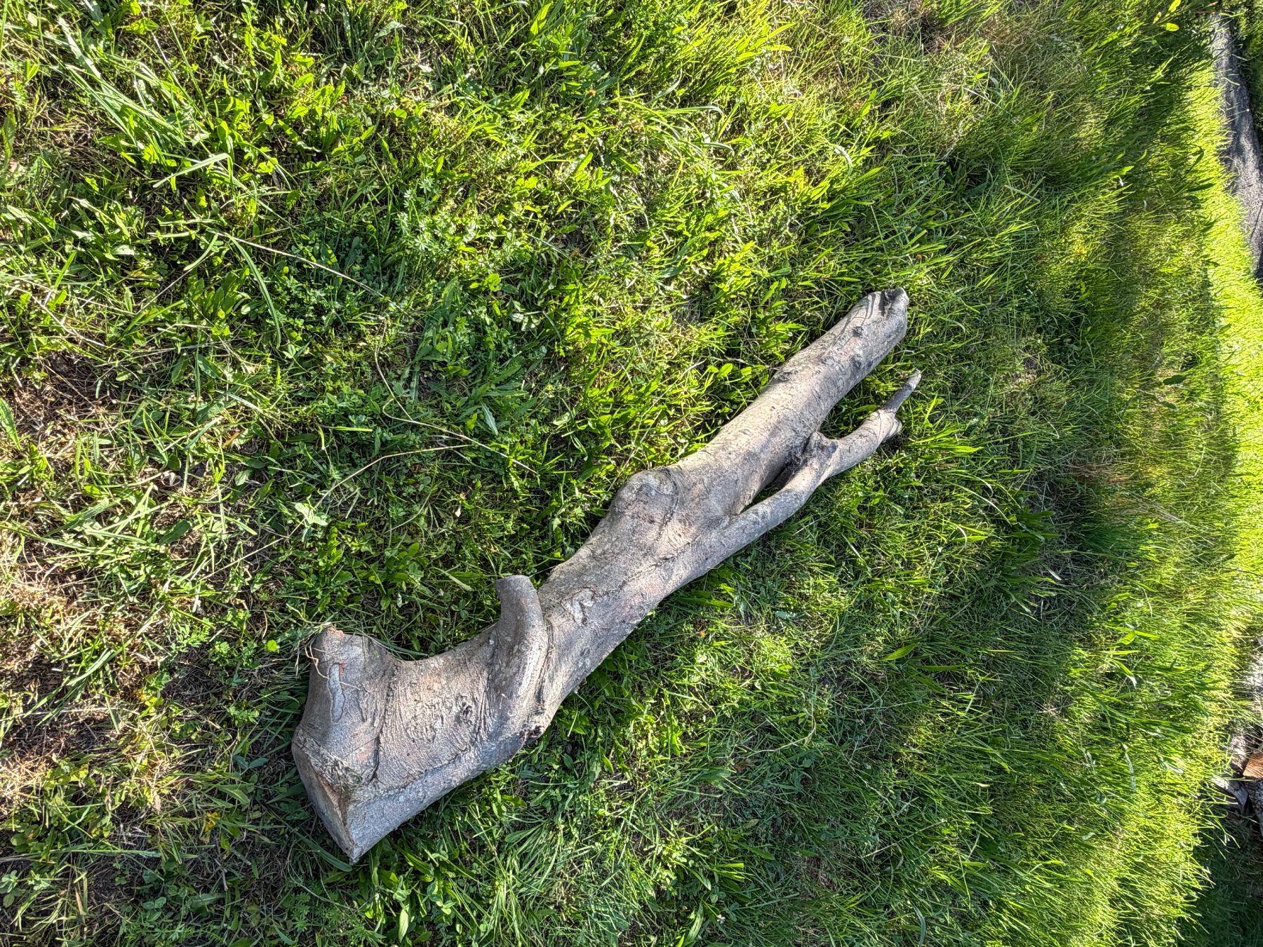 Articoli in legno: Starker, knorriger Baumstamm - Gartendeko – Usato da Huttwil venduto da Burk3 4