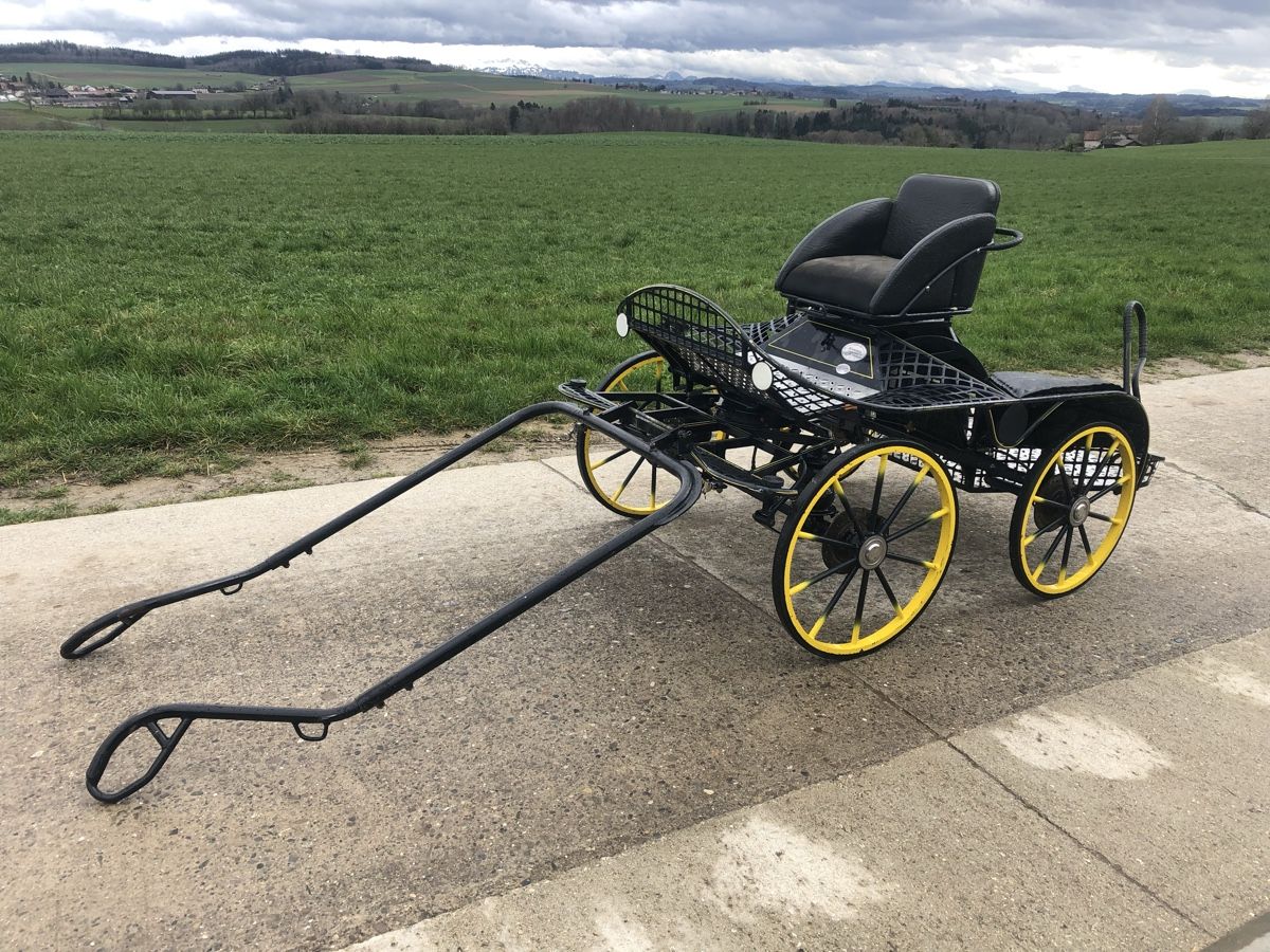 Kutschen: Char marathon et harnais pour poney – Gebraucht aus Etagnières von arnaudreichenbach