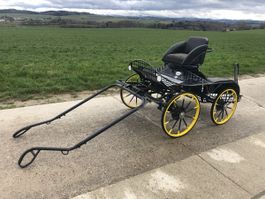 Char marathon et harnais pour poney