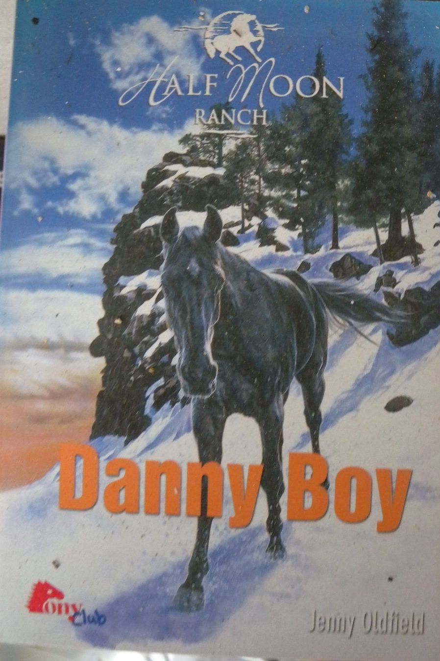 Libri: danny boy – Nuovo (secondo la descrizione) da Hauenstein venduto da Danbach