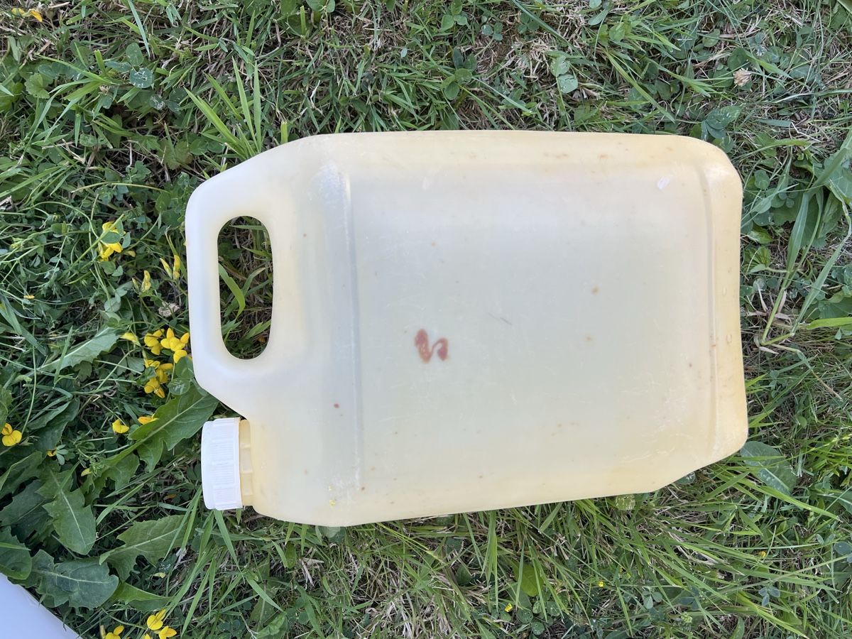 Accessori per altri veicoli: Kanister (Petrol/Öl) – Usato da Küsnacht ZH venduto da Slofia 3