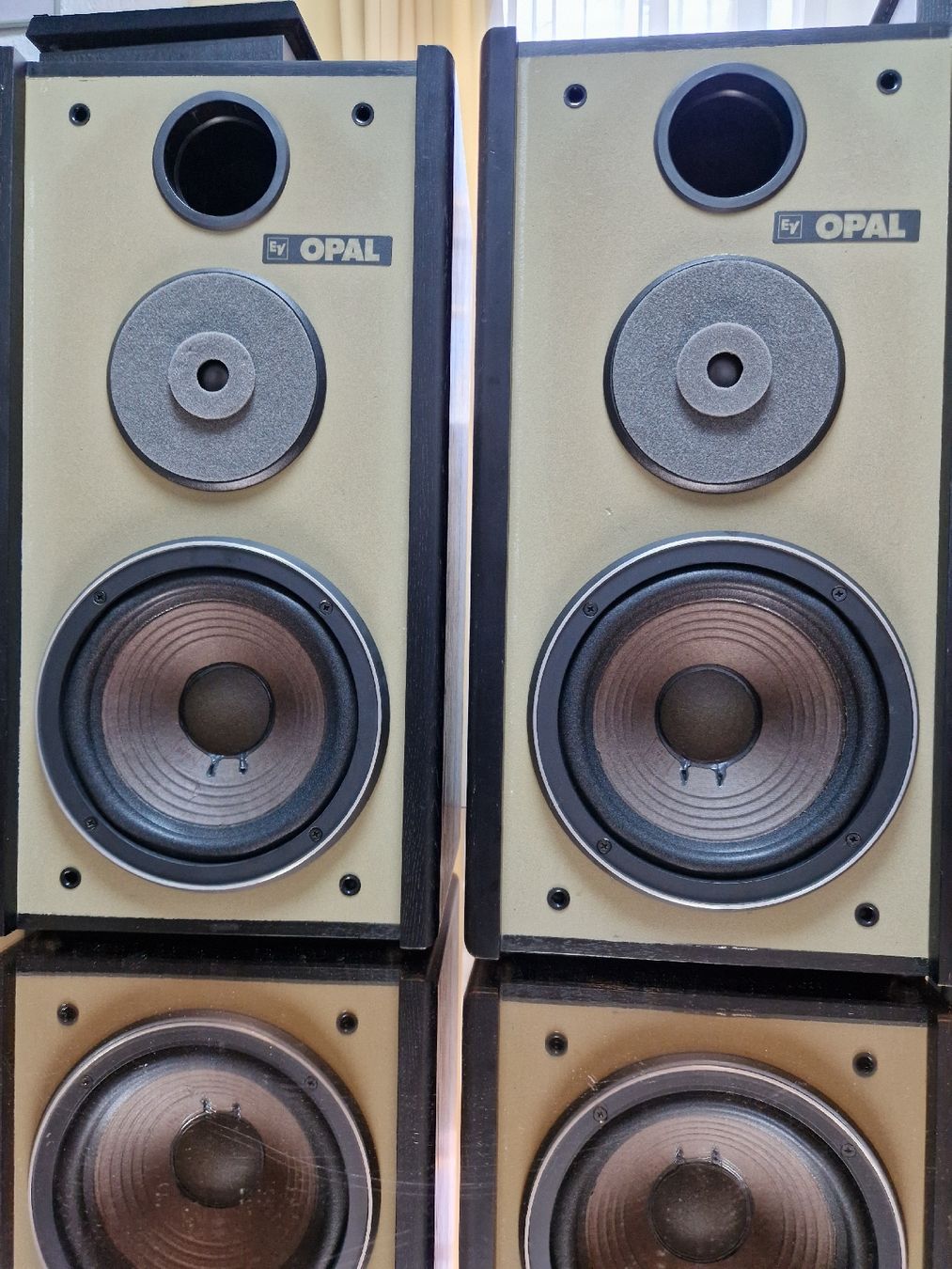 Electro-voice Lautsprecher: Elektro Voice Opal  – Gebraucht aus Arbon von Mayak_Sound