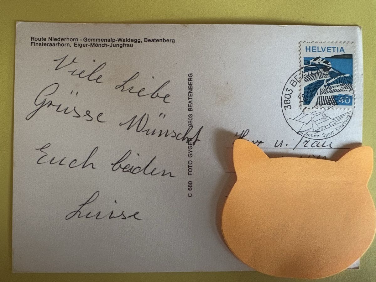 Cartoline postali: AK Eiger Mönch Jungfrau Bergpanorama – Usato da Rümlang venduto da Kartenpost1 1