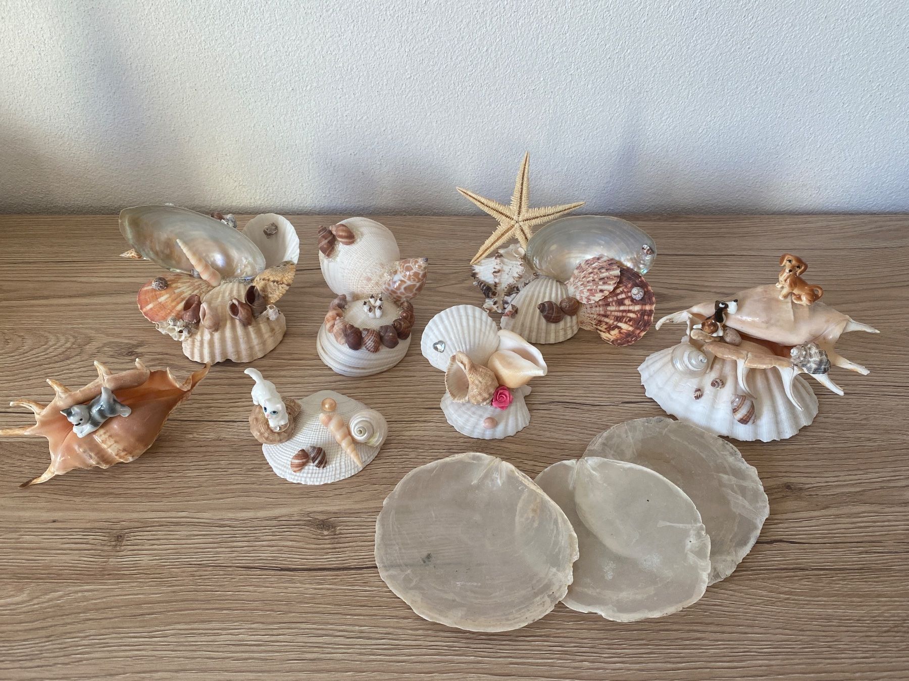 Alle Dekorationen: Dekorative Muscheln – Gebraucht aus Glattbrugg von RD-Shop